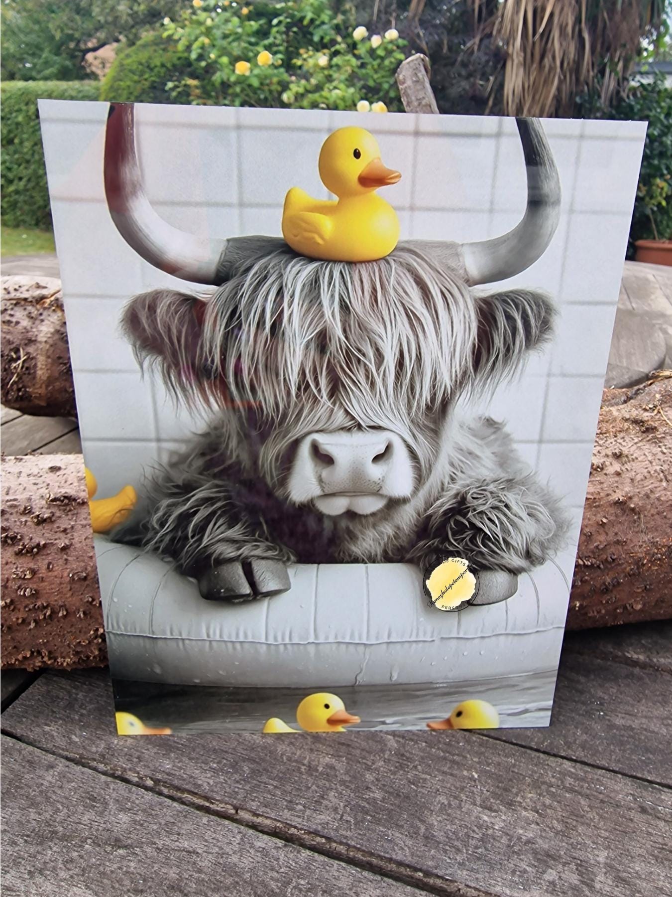 Highland Cow Aluminium Wall Art – 15cm x 20cm