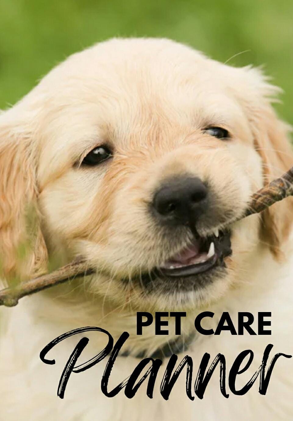Pet Care Planner PDF: Health & Daily Routine Tracker (26-Page)