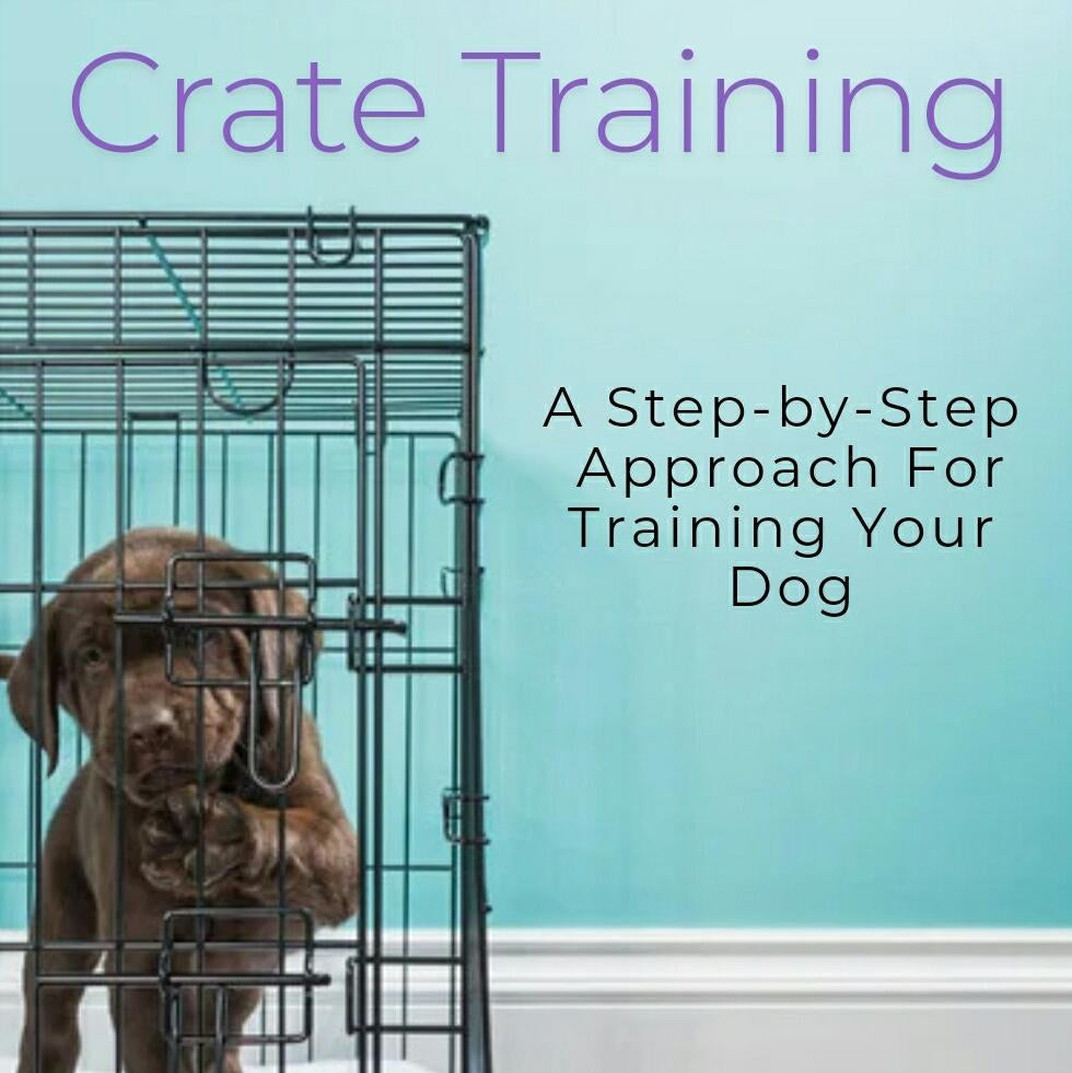 Puppy inside a crate with text about crate training on a blue wall background